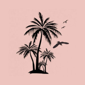 Meet your Posher, Sandy